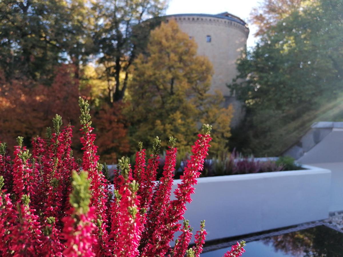 Apartment Serenade Am Zwinger กอสลาร์ ภายนอก รูปภาพ