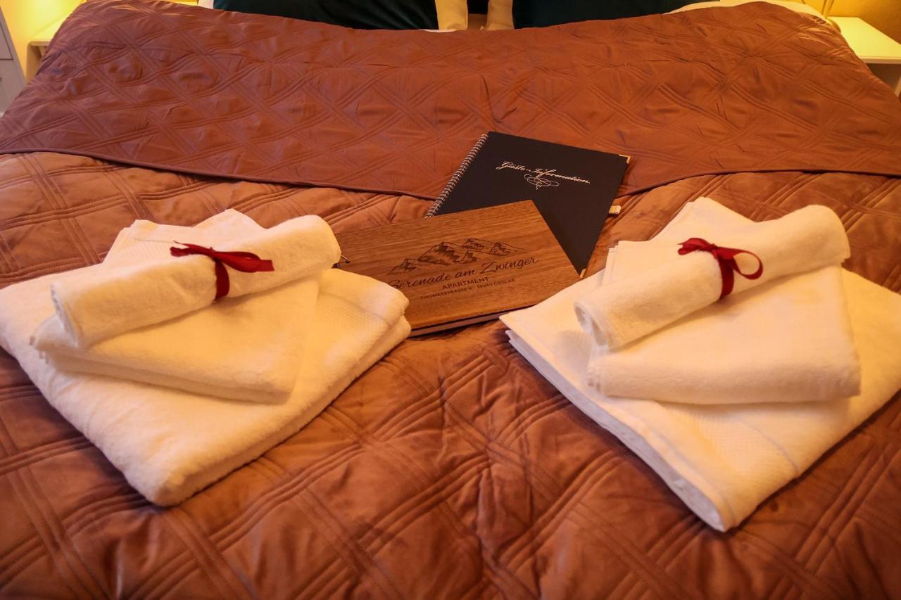 Apartment Serenade Am Zwinger กอสลาร์ ภายนอก รูปภาพ