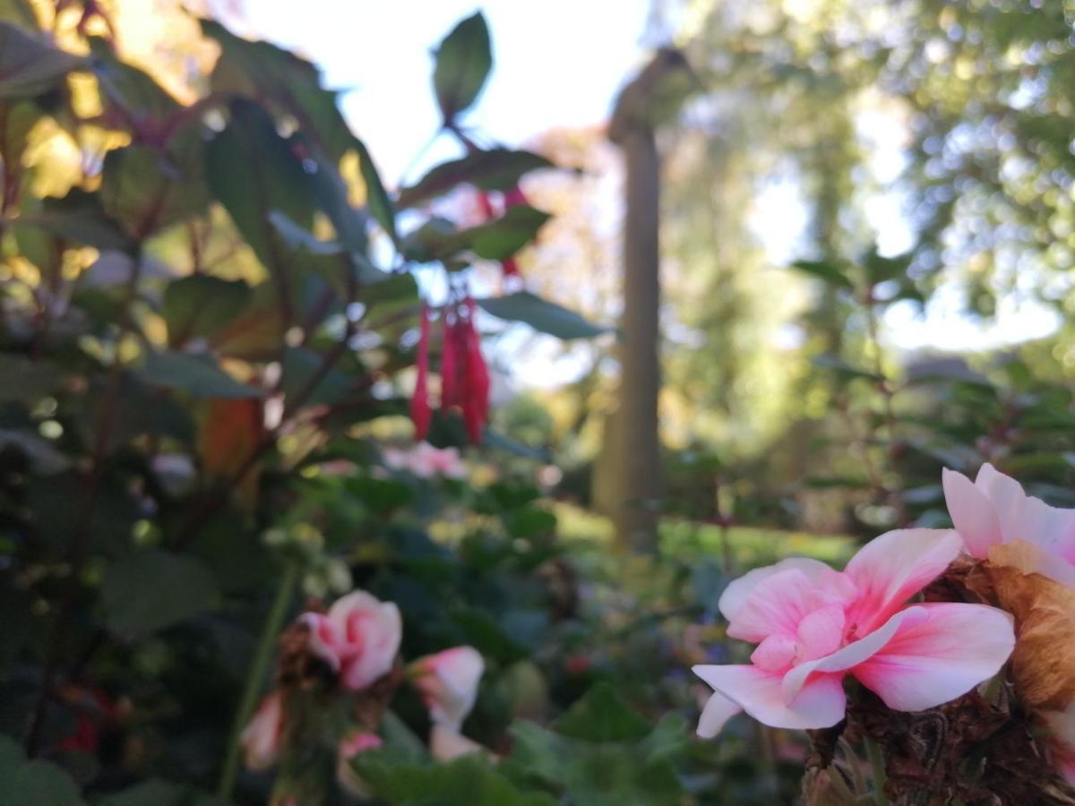 Apartment Serenade Am Zwinger กอสลาร์ ภายนอก รูปภาพ