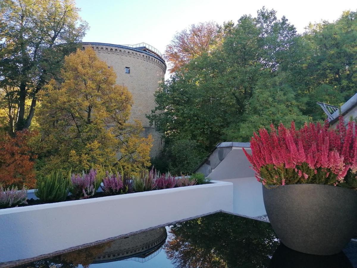Apartment Serenade Am Zwinger กอสลาร์ ภายนอก รูปภาพ